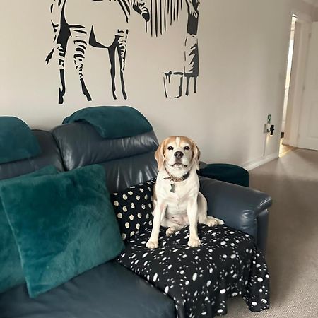 Hereford - Finch House - Modern 4 Bedroom House Located In South Hereford, Dog Friendly With Nearby Countryside, Pool Table, Sleeps Up To 10 Guests - Hosted By Rentmyhouse Exteriér fotografie